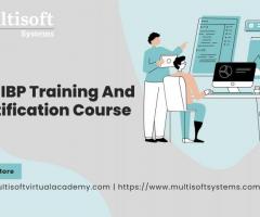 SAP IBP Training And Certification Course