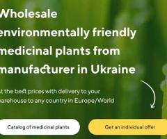 Πώληση φαρμακευτικών φυτών χύμα από τον κατασκευαστή στις καλύτερες τιμές