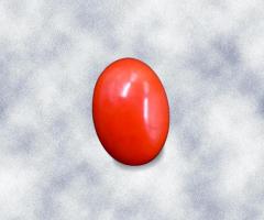 Buy Red Coral (Moonga) Stones Online at Best price - Gemswisdom