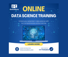 Master Data Science with Our Online Training Hub!