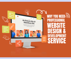 Why you need professional Website Design & Development service - 1