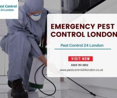 We offer emergency pest control services in London at Pest Control 24