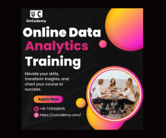 Navi Mumbai's Premier Online Data Analytics Training