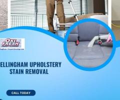 Revive Your Upholstery: Bellingham's Premier Stain Removal Service