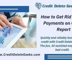 Eliminate Late Payments: Your Path to a Clean Credit Slate with Credit Delete Geeks - 1