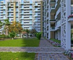 Rise Sky Bungalows Surajkund | Rise Sky Bungalows  Sector 41 Faridabad