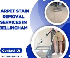 Sparkling Carpets: Bellingham's Premier Stain Removal Specialists