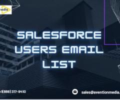 What makes the Salesforce Users Email List ideal for targeted marketing campaigns?