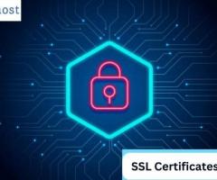 Cheap ssl certificate india