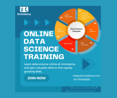 Online Data Science Training - Top Institute