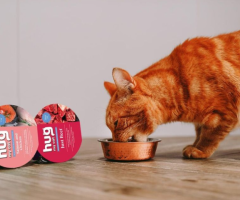 Eye-Catching Cat Food Packaging Ideas: AD Creative London