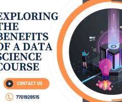 Exploring the Benefits of a Data Science Course