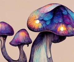 The Evolving Landscape of Psychedelic Therapy: Promise and Challenges - 1