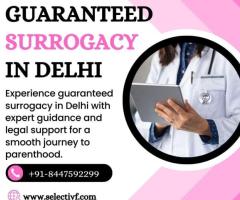 Guaranteed Surrogacy In Delhi - 1