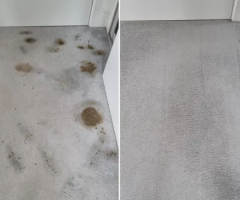 Carpet Cleaning Glasgow | Call Now @ 075432 03536 - 1