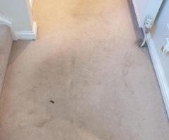 Carpet Cleaning Airdrie | Call Now@7495027182