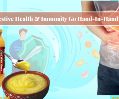 Digestive Health And Immunity