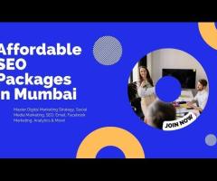 Affordable SEO Packages in Mumbai | ValueHits