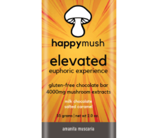 Buy Happy Mush Elevated Chocolate Online - 1