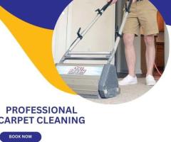 Revitalize Your Home with Oxi Fresh: Professional Carpet Cleaning in Bellingham