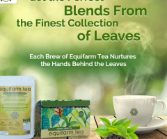 Taste Pure Flavour From Whole Leaf Teas
