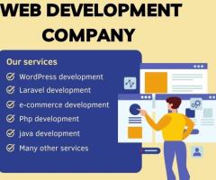 Top Website Development Services in Delhi, India