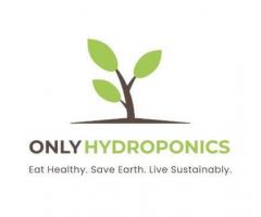 Fresh and Nutritious: Buy Hydroponic Vegetables for Your Health and Sustainability