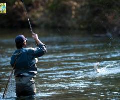 Beginner's Guide to Freshwater Fishing in California: Tips and Tricks