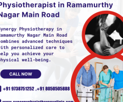 Physiotherapist in Ramamurthy Nagar Main Road