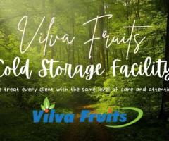 cold storage with affordable price vilva fruits