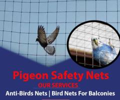 Best Pigeon Safety Nets in Chennai