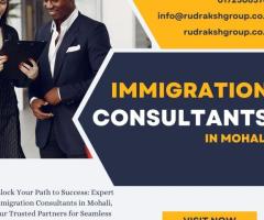 Experienced Mohali Immigration Consultants: Let Us Guide You