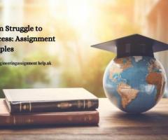 From Struggle to Success: Assignment Samples