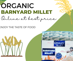Organic Barnyard Millet Online At Best Price