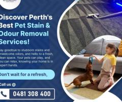 Unleash the Freshness: Expert Pet Stain & Odour Removal Services in Perth
