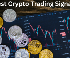 Verified Crypto Trading Experts: Access the Best Signals for Profitable Trading - 1