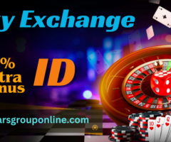 Top Sky Exchange id Services in India 2024