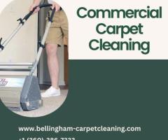 Revitalize Your Space: Professional Carpet Cleaning in Bellingham