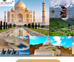 Tour Packages To India From USA | Squid Travel