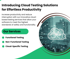 Raise Excellence in Cloud Testing service by Testrig Technologies