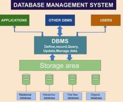 Upgrade Your University Management with Our Comprehensive Database Management System
