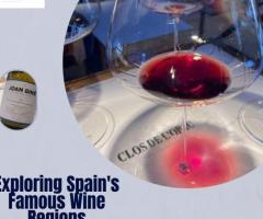 Exploring Spain's Famous Wine Regions - 1