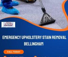 Emergency Upholstery Savior: Stain Removal Services in Bellingham - 1