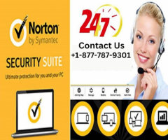 +1-877-787-9301 Norton Antivirus Support Number