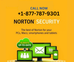 +1-877-787-9301 Norton Antivirus Support Number