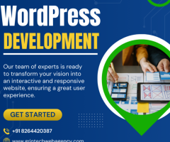 Elevate Online Platform with Expert WordPress Development Solutions - 1