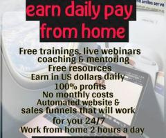 Work from home Earn in US Dollars - 1