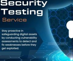 Security Testing Service