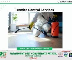 Termite Control Services in Pune