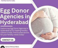 Egg Donor Agencies in Hyderabad